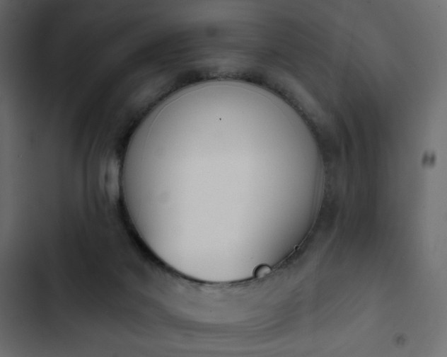 X0000103930022200809261713