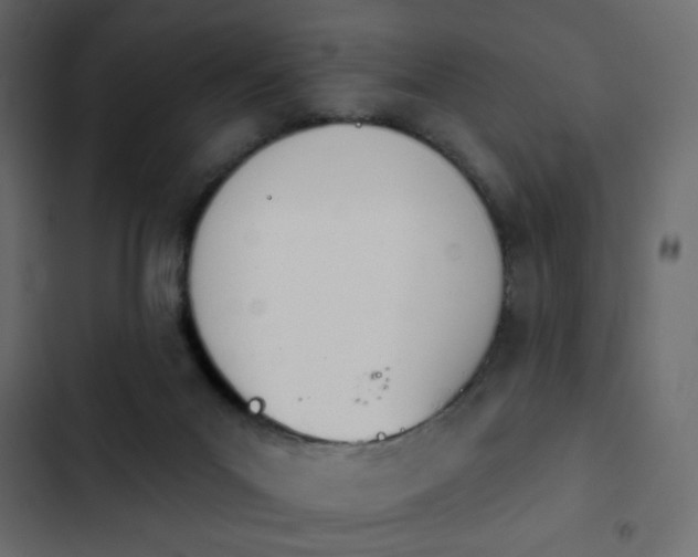 X0000103930023200809261713