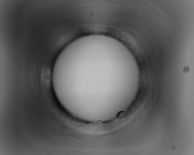 X0000103930024200809261713