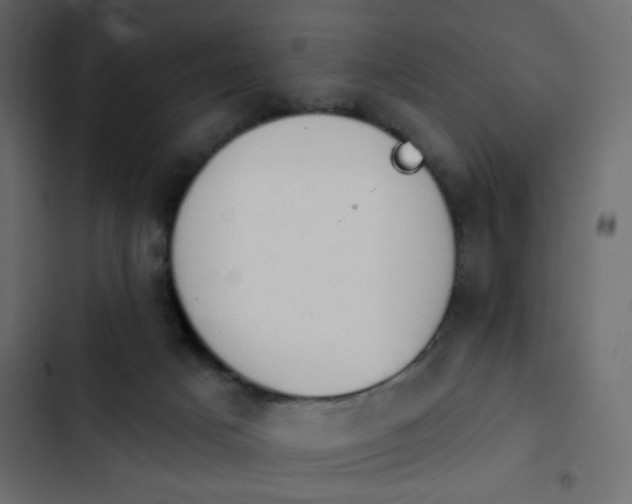 X0000103930025200809261713
