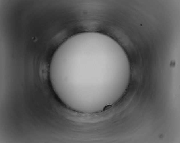 X0000103930026200809261713