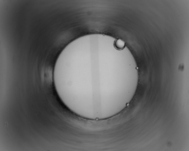 X0000103930027200809261713
