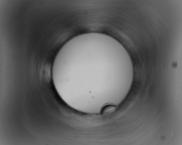 X0000103930028200809261713