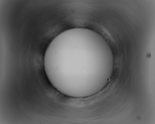 X0000103930029200809261713