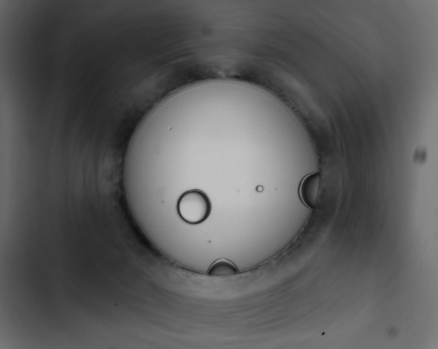 X0000103930030200809261713