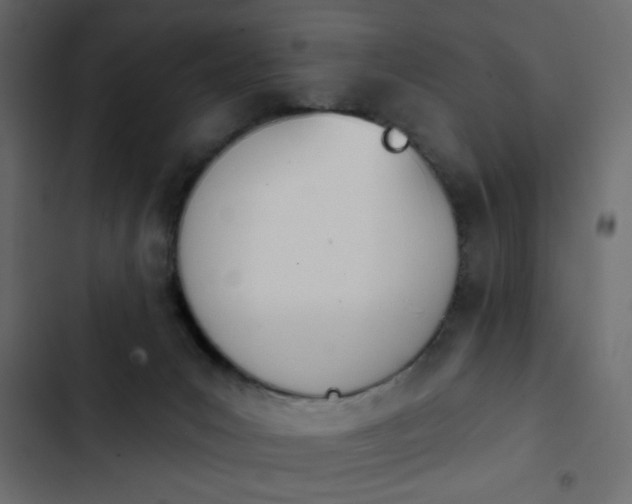 X0000103930031200809261713