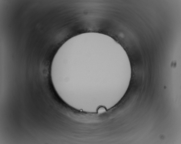 X0000103930032200809261713