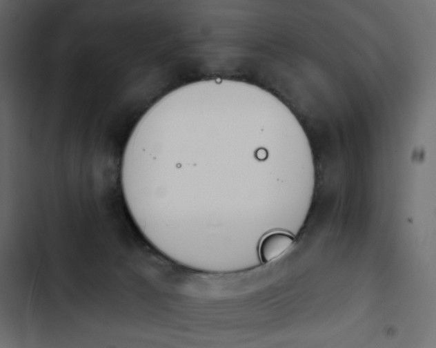 X0000103930033200809261713