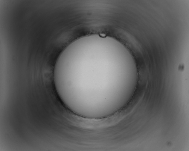 X0000103930034200809261713