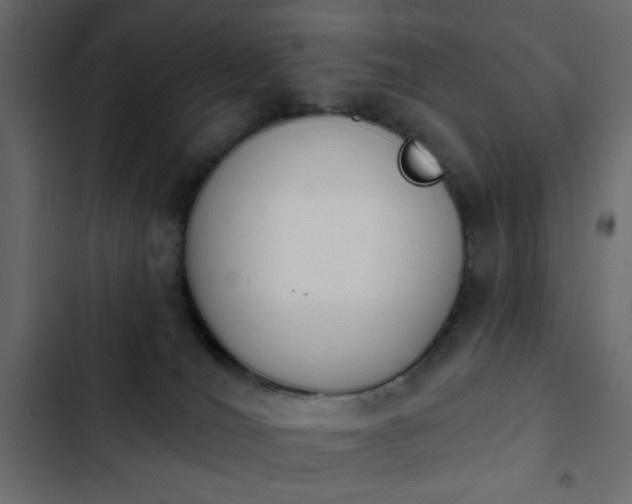 X0000103930036200809261713