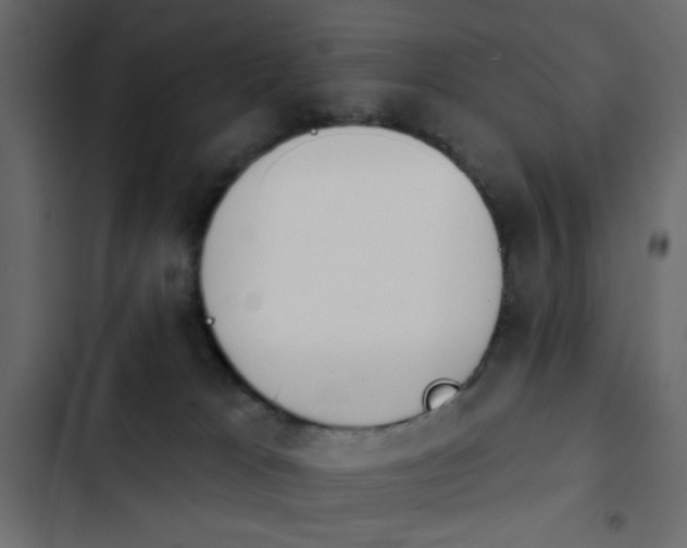 X0000103930037200809261713