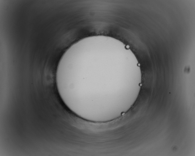 X0000103930039200809261713