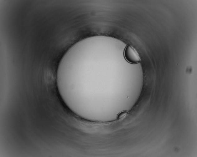 X0000103930040200809261713