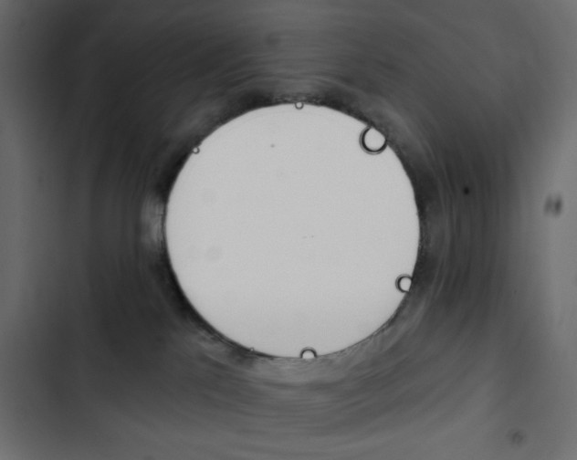 X0000103930041200809261713