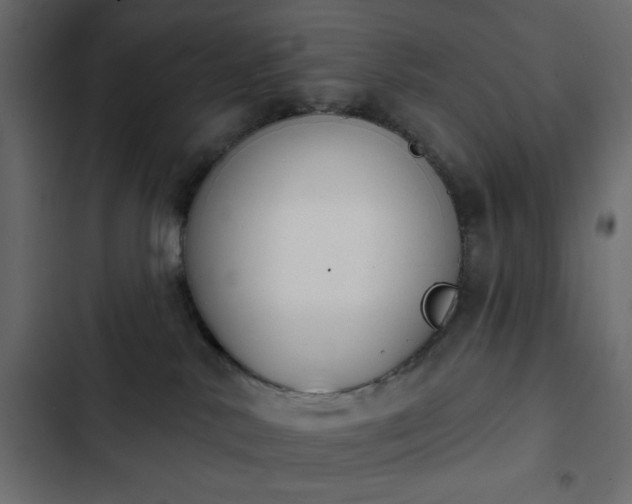 X0000103930042200809261713