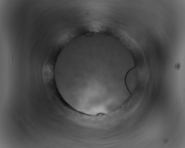 X0000103930043200809261713