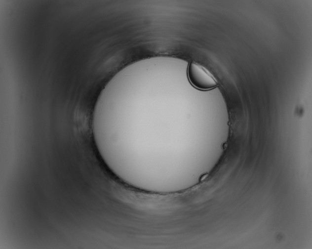 X0000103930044200809261713
