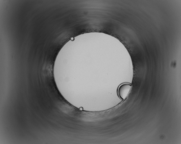 X0000103930045200809261713