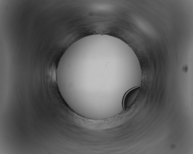X0000103930046200809261713