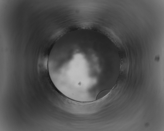 X0000103930047200809261713