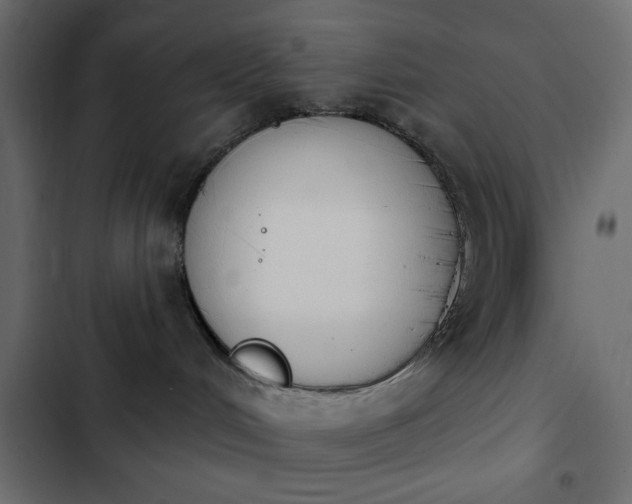 X0000103930048200809261713