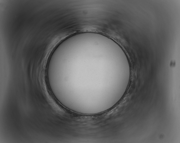 X0000103930049200809261712