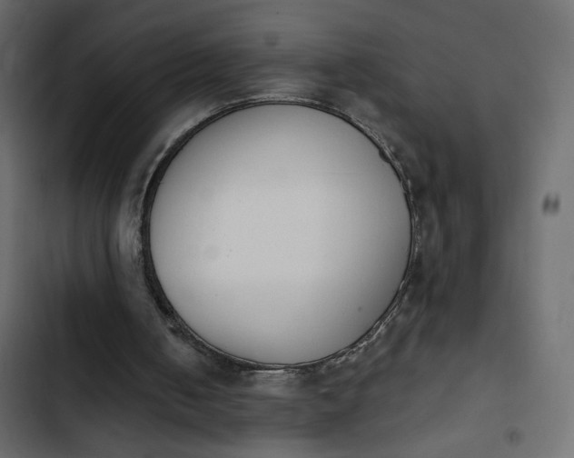 X0000103930050200809261712