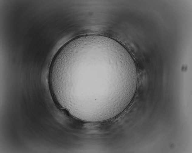 X0000103930051200809261712