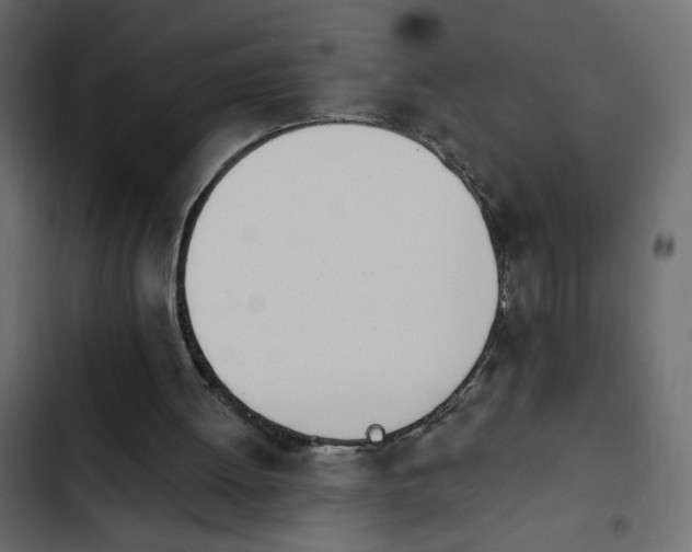 X0000103930052200809261712