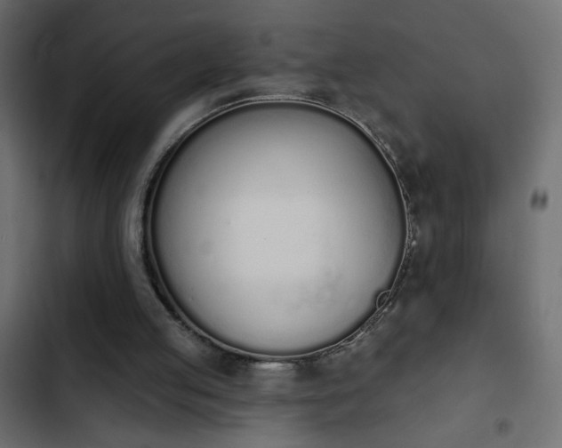X0000103930053200809261712