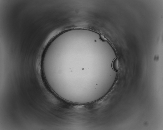 X0000103930054200809261712