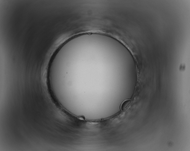 X0000103930055200809261712