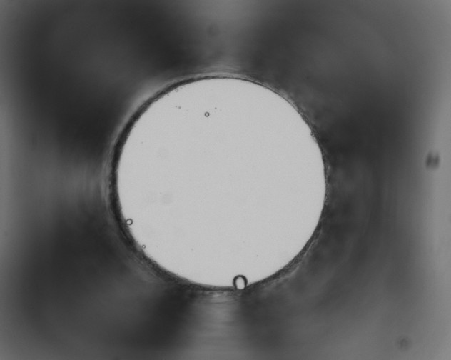 X0000103930056200809261712