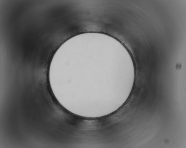 X0000103930057200809261712