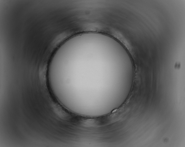 X0000103930058200809261712