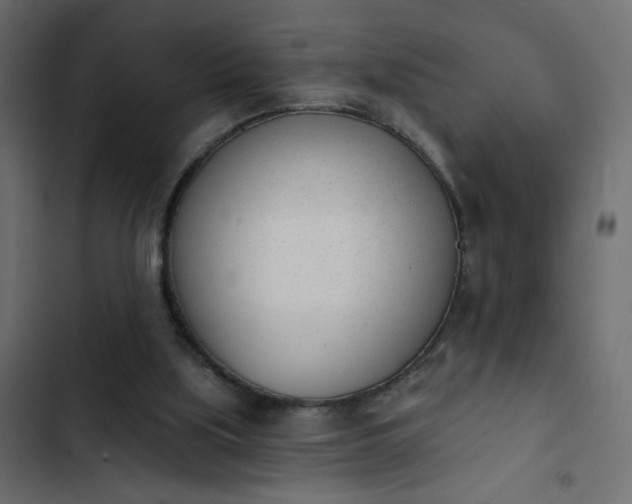 X0000103930059200809261712