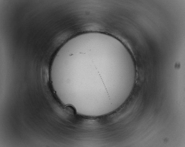 X0000103930061200809261712