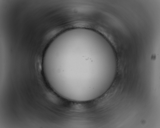X0000103930062200809261712