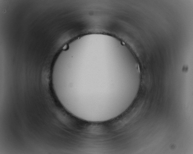 X0000103930063200809261712