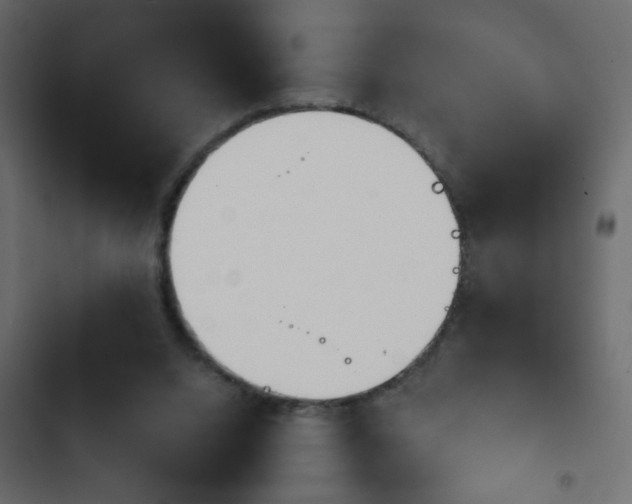 X0000103930064200809261712