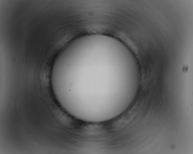 X0000103930065200809261712