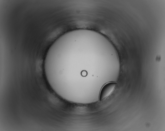 X0000103930066200809261712