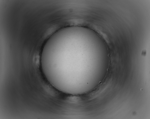 X0000103930067200809261712