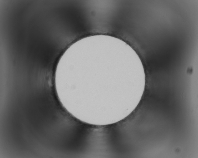 X0000103930068200809261712
