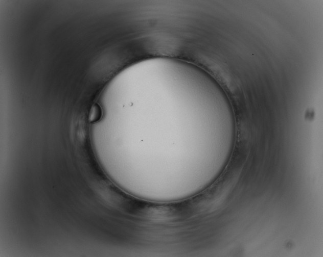 X0000103930069200809261712