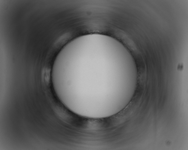 X0000103930070200809261712