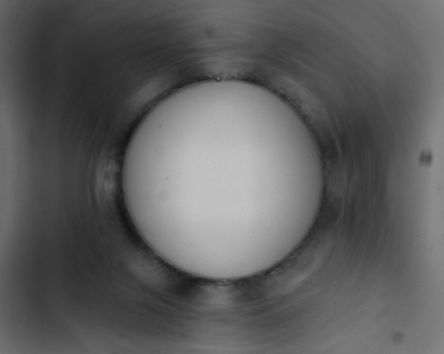 X0000103930071200809261712