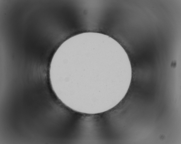 X0000103930072200809261712