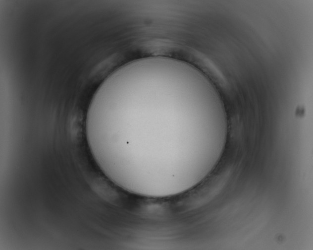 X0000103930073200809261712