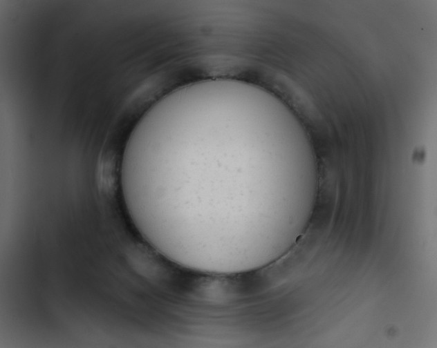 X0000103930074200809261712